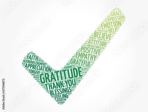 Gratitude check mark word cloud, concept background