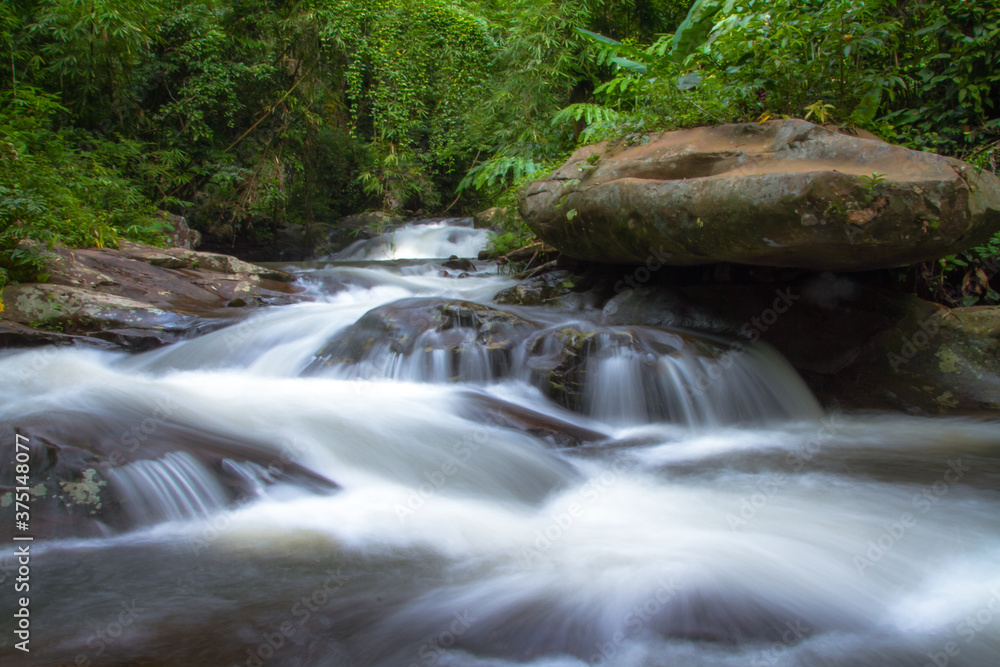 Fototapeta premium small waterfall in the forest