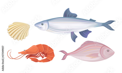 Shrimp and Fish as Seafood and Marine Delicacy Vector Set