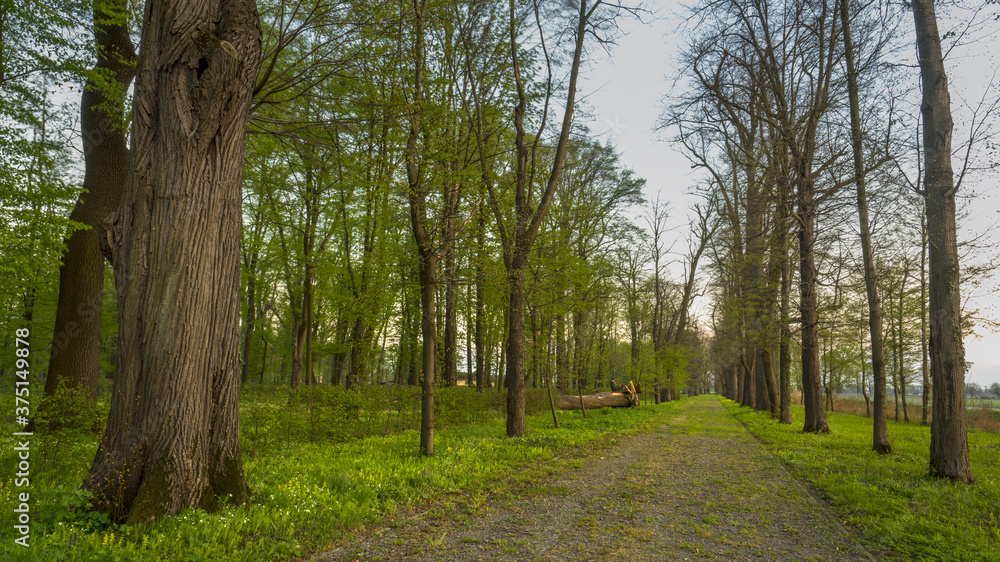 Park Park