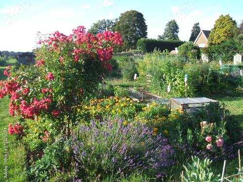 Allotment