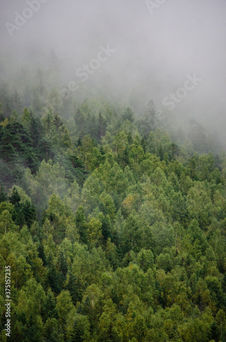 fog over the beautiful mountains