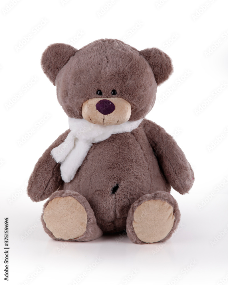 Obraz premium A teddy bear doll on a white background