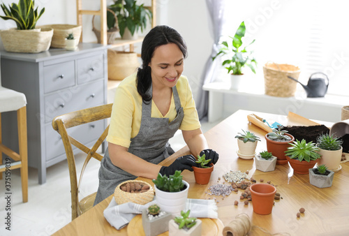 Mature woman potting succulent plant at home. Engaging hobby