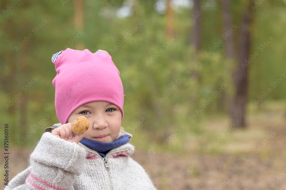 Small child in hat holds an edible mushroom in his hand in pine forest on cold autumn day. Small child in hat holds an edible mushroom in his hand in pine forest on cold autumn day.