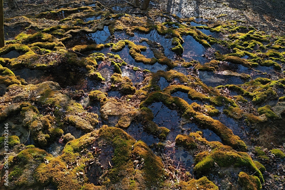 Mineral spring water reservoirs on travertine stones covered with moss, afternoon sunshine. 
