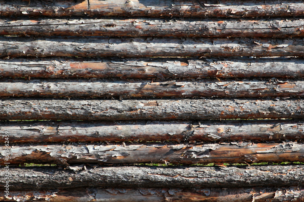 Old rough wooden logs. fence texture Old rough wooden logs. fence texture