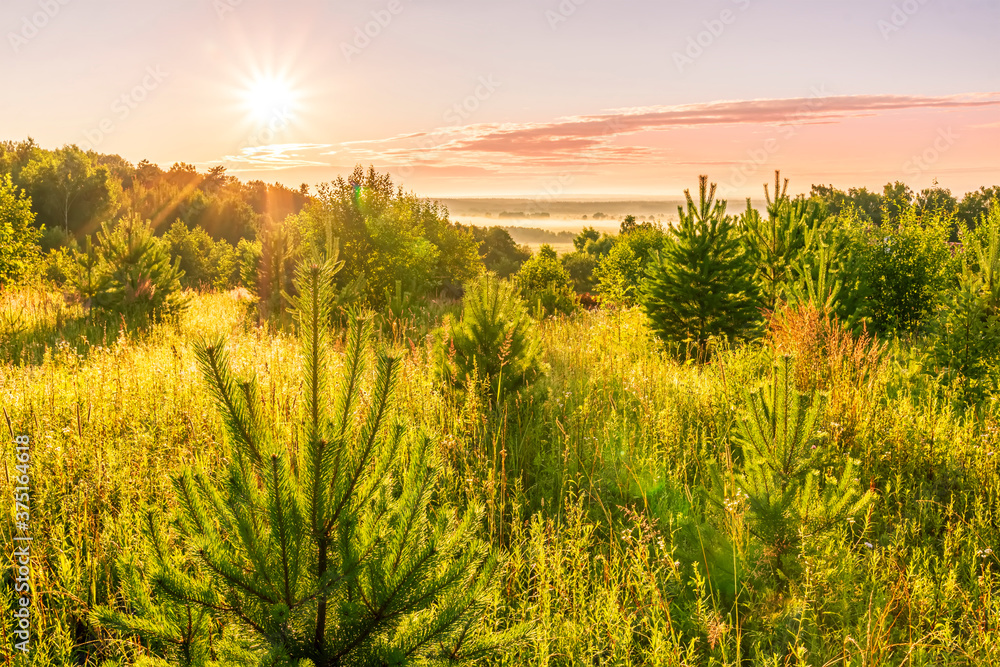 Scenic view at beautiful sunrise in a far misty valley, bright crimson cloudy sky , trees and golden sun rays with glow, summer morning  field landscape