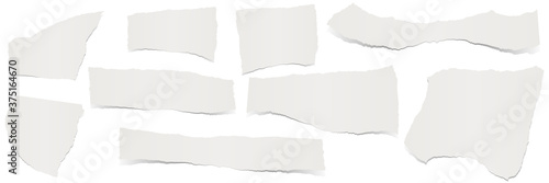 collection scrap of paper