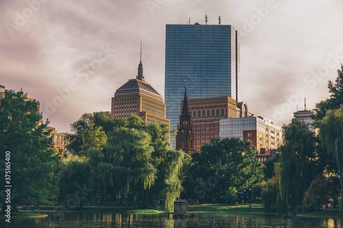 Boston skyline from Public Gardens, 