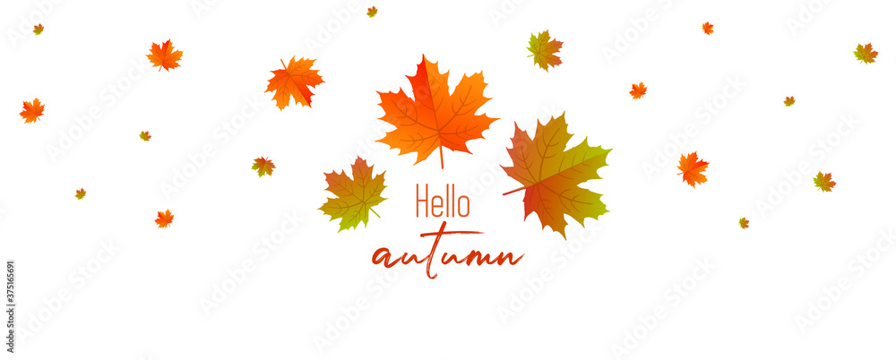 autumn leaves background autumn leaves background
