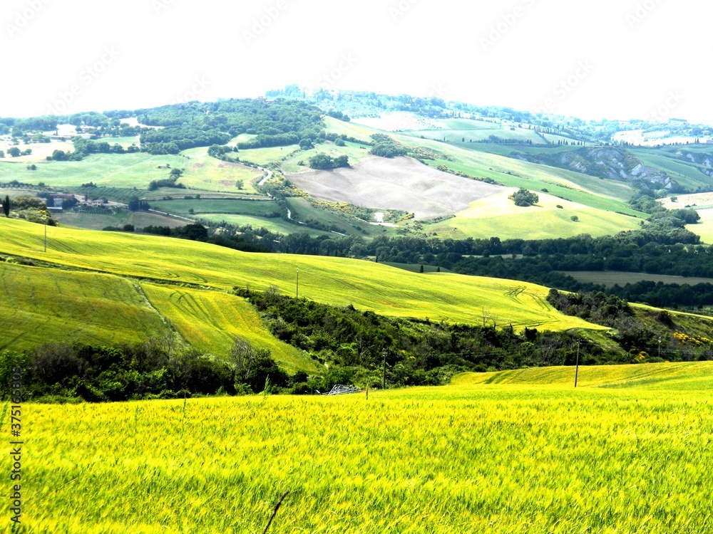 
View of the Tuscan countryside - Italy Pienza