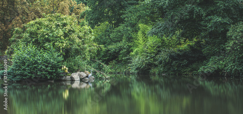 pond in the park