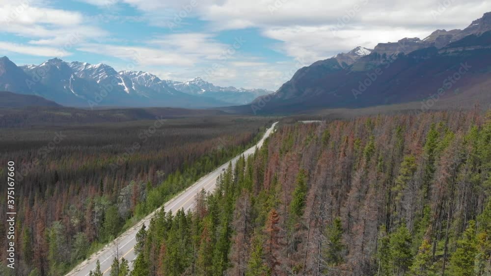 drone flies above road surrounded with pine trees, mountains in the background landscape in summer season drone flies above road surrounded with pine trees, mountains in the background landscape in summer season