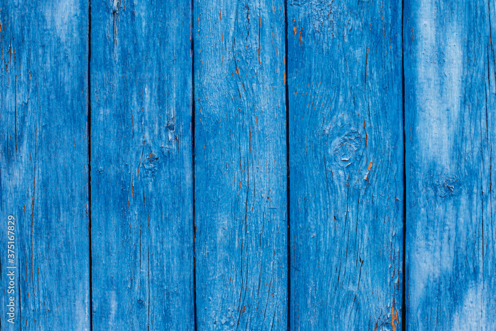 Fototapeta premium Rustic wood texture or background with scratched blue paint.
