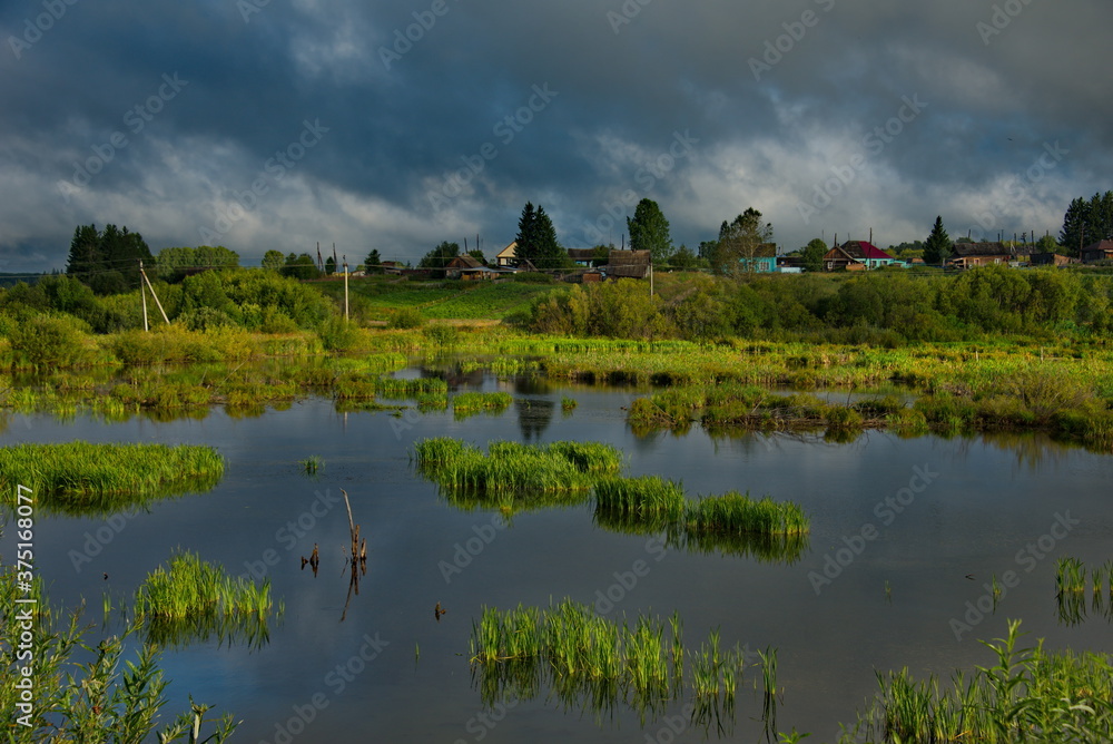 Russia. Kemerovo region (Kuzbass). Dacha village on the shore of a swampy lake near the city of Mariinsk.