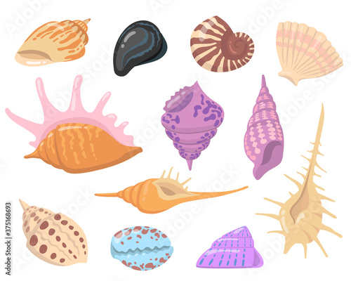 Sea or ocean shell objects flat illustration set. Cartoon colorful seashells on white background isolated vector illustration collection. Water nature and decoration concept