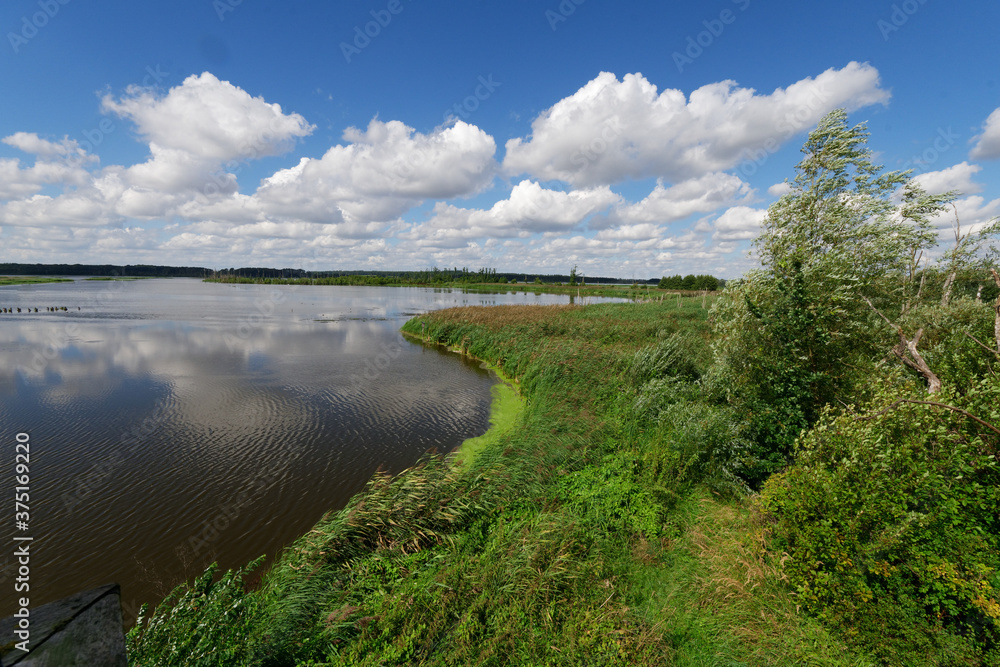 Fototapeta premium Naturschutzgebiet Peenetal