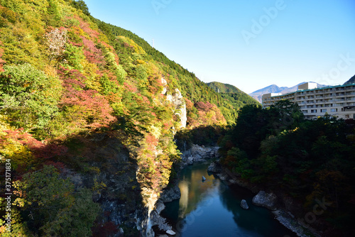 Autumn leaves in a valley