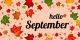 Hello September & maple leaf on autumn fall background. Welcome autumn (september hello) on forest foliage of maple leaf red yellow green orange. September leaf hello autumn - dry leaves fall season