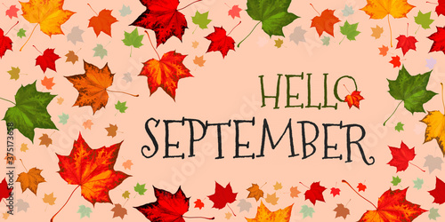 Hello September   maple leaf on autumn fall background. Welcome autumn  september hello  on forest foliage of maple leaf red yellow green orange. September leaf hello autumn - dry leaves fall season