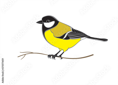 Titmouse sitting on branch Isolated on white background. Vector illustration.