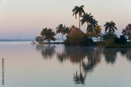 Laguna del Tesoro, Treasure Lagoon, Palm trees and wooden cabins, Zapata Peninsula, Cuba, Central America