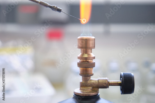 Close up of inoculation loop being sterilized in flame of gas bunsen burner in a laboratory. Laboratory work concept.