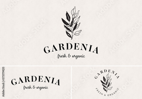 Logo Design Set with Botanical Illustration