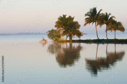 Laguna del Tesoro  Treasure Lagoon at sunrise  Zapata Peninsula  Cuba  Central America
