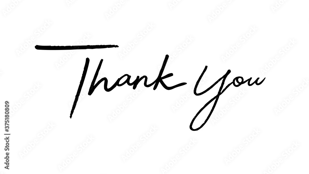 Thank You Text Lettering Handwritten Brush isolated on white background, Vector Illustration Thank You Text Lettering Handwritten Brush isolated on white background, Vector Illustration