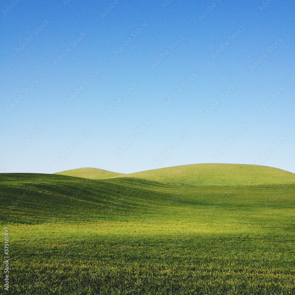 Rolling Green Hills Rolling Green Hills