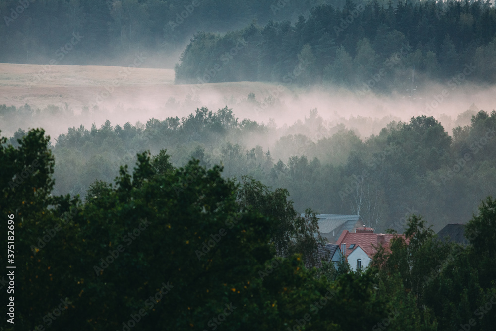 Foggy landscape