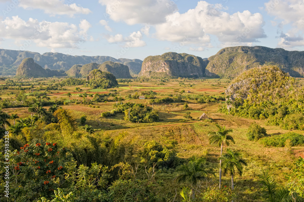 Vinales Valley, Tobacco plantation, Mogotes, Vinales, Pinar del Rio Province, Cuba, Central America, Unesco World Heritage Site.