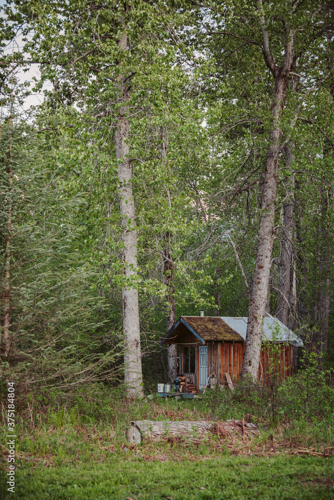 Alaskan Summer Alaskan Summer