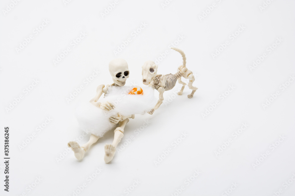 Skeleton mother with her children and a skeleton dog
