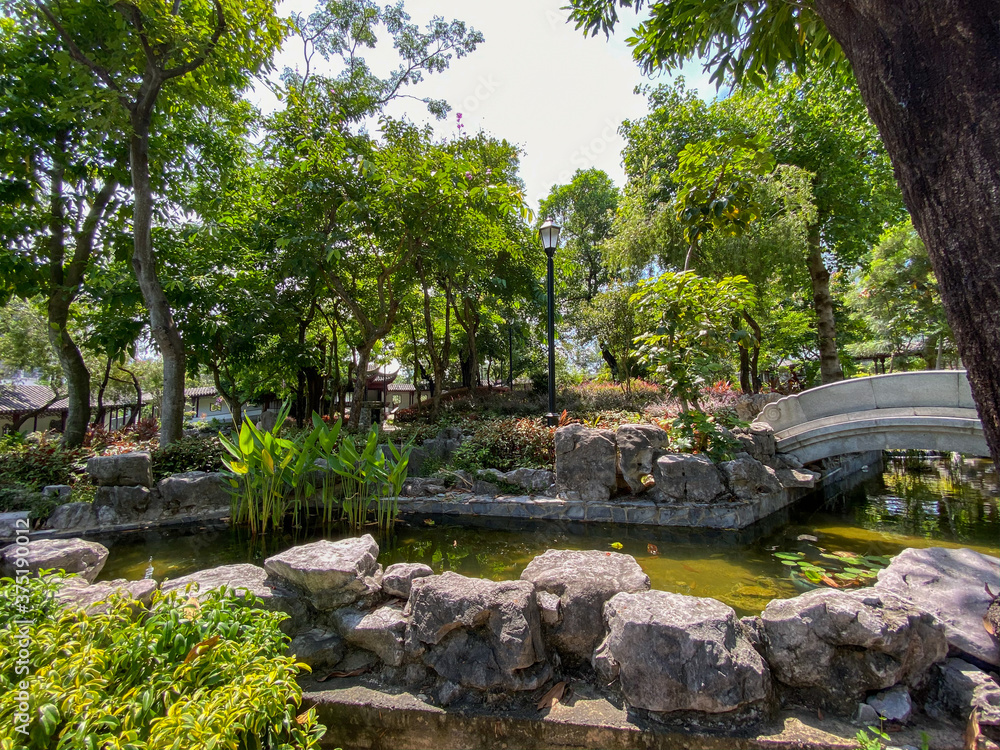 Chinese pond in the park