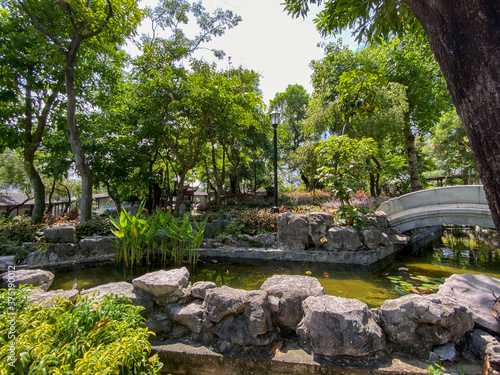 Chinese pond in the park