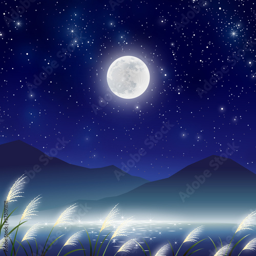 中秋の名月　すすき　野原 © AQ-taro Images