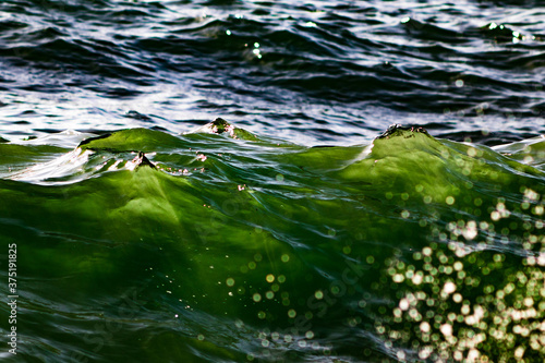 heavy sea, green water illuminated by the sun
