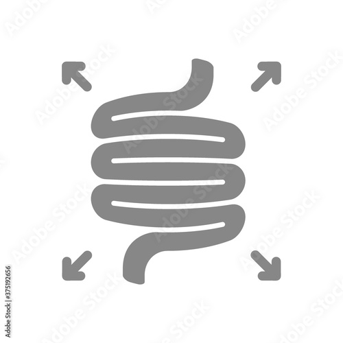 Bloated intestines grey icon. Diseases internal organ symbol