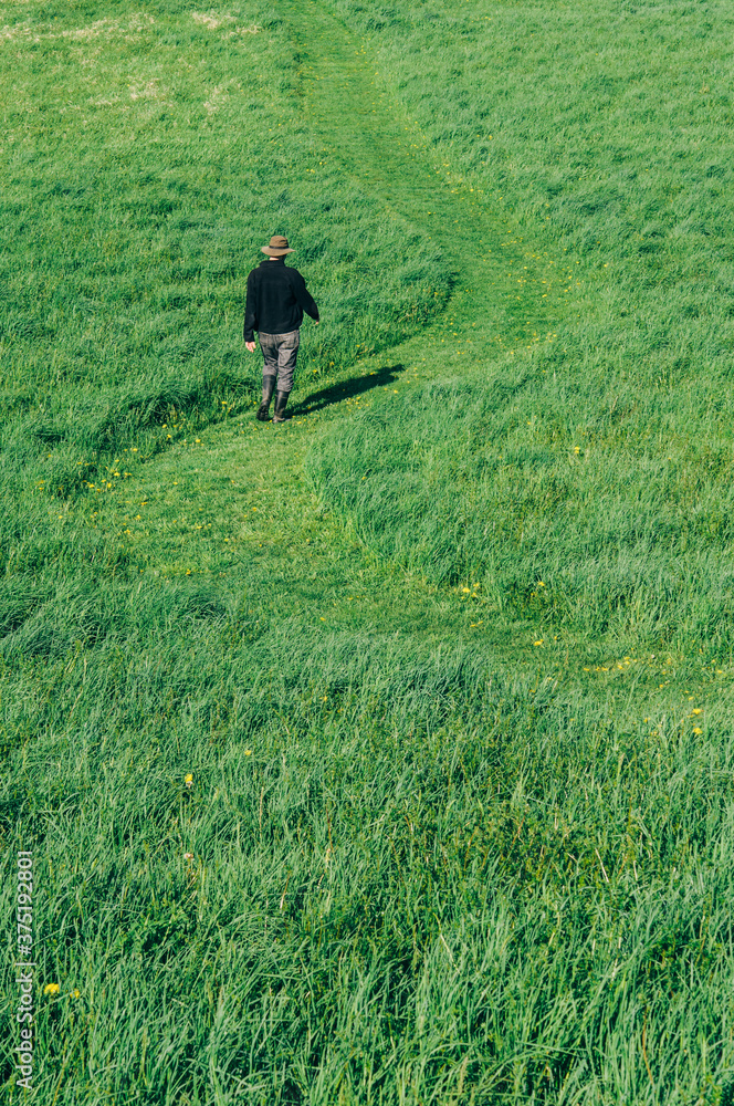 Man walking on a path winding through a lush field Man walking on a path winding through a lush field