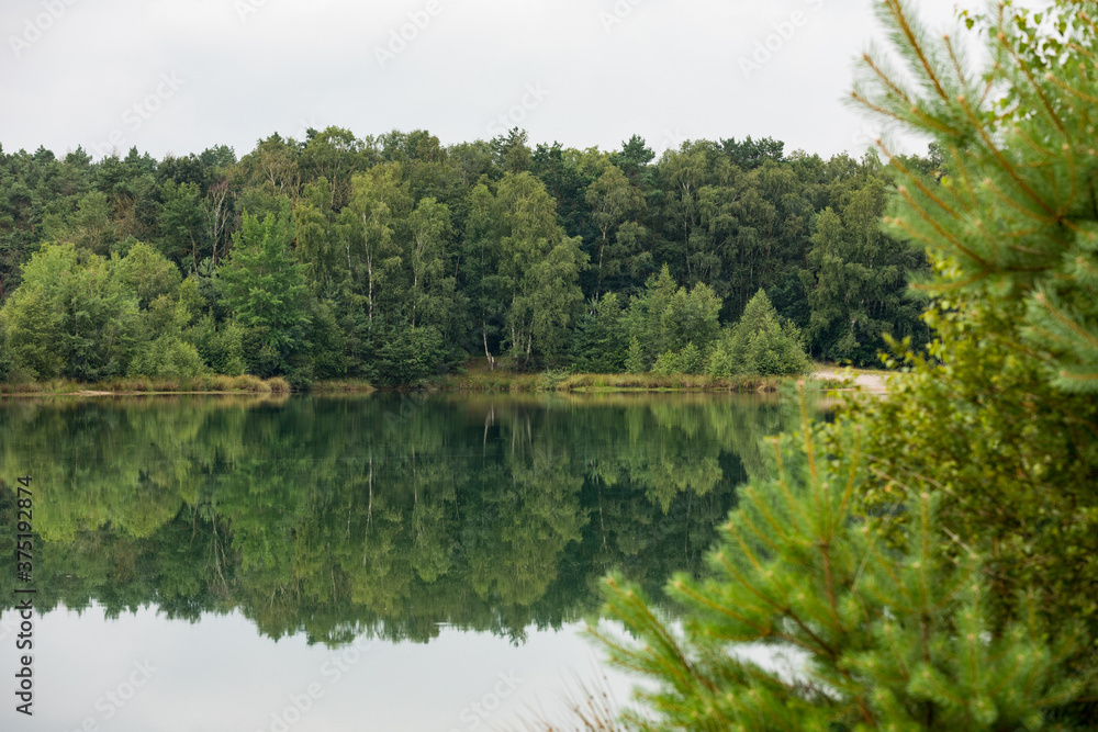 See im Sandabbaugebiet mit Kiefern am Ufer