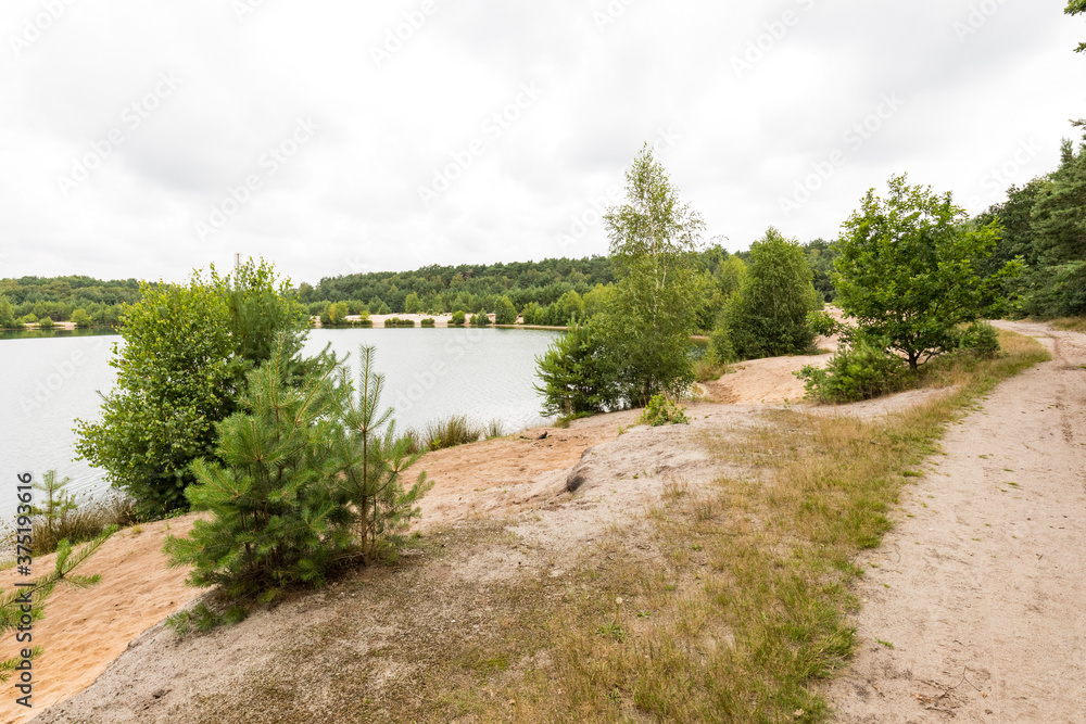 See im Sandabbaugebiet mit Kiefern am Ufer See im Sandabbaugebiet mit Kiefern am Ufer
