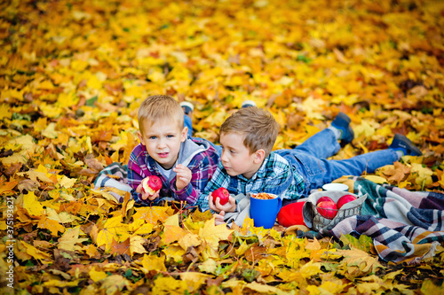 Happy children lie on autumn leaves on a blanket with red apples in their hands. Funny children outdoors in the autumn Park. Picnic in nature.