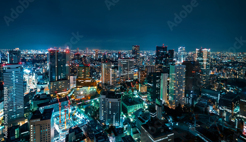 Photography Tokyo, Japan cityscape view from high above