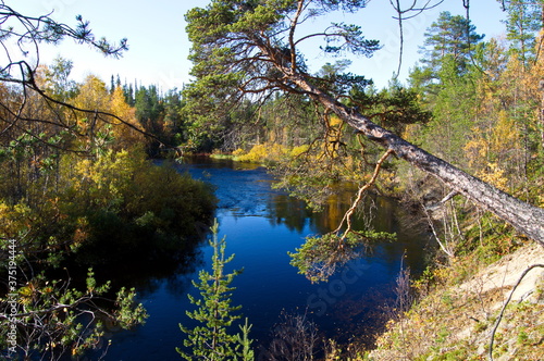 nature