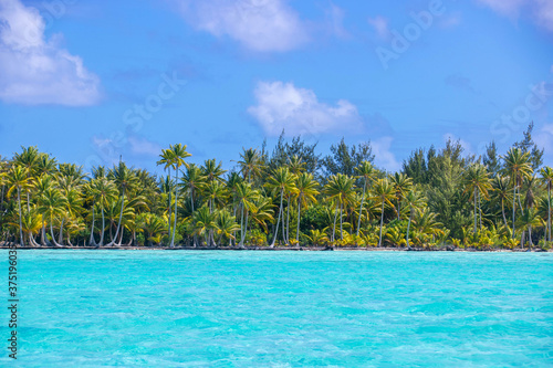 Beautiful tropical island beach with many palm trees and clear turquoise ocean water