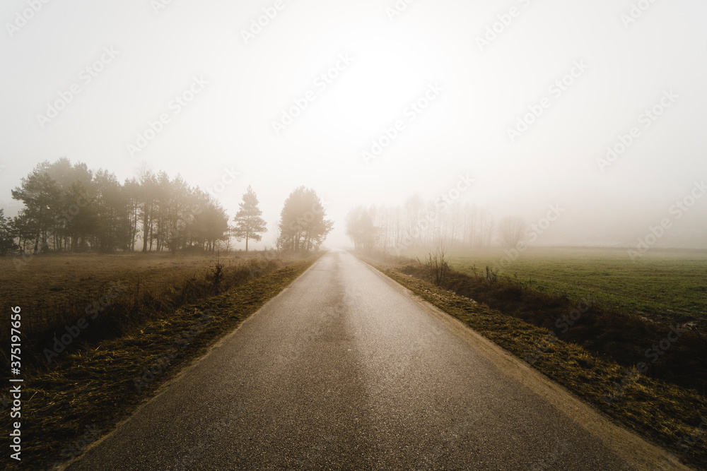 Straight road on misty dark morning.