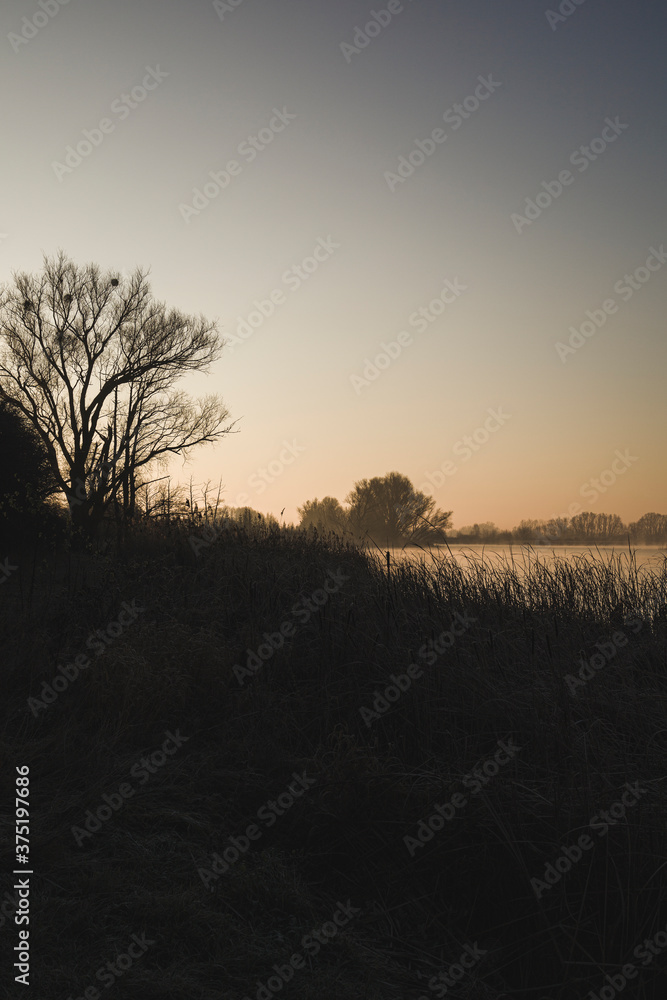 Landscape of sunrise over the river with rushes. Landscape of sunrise over the river with rushes.